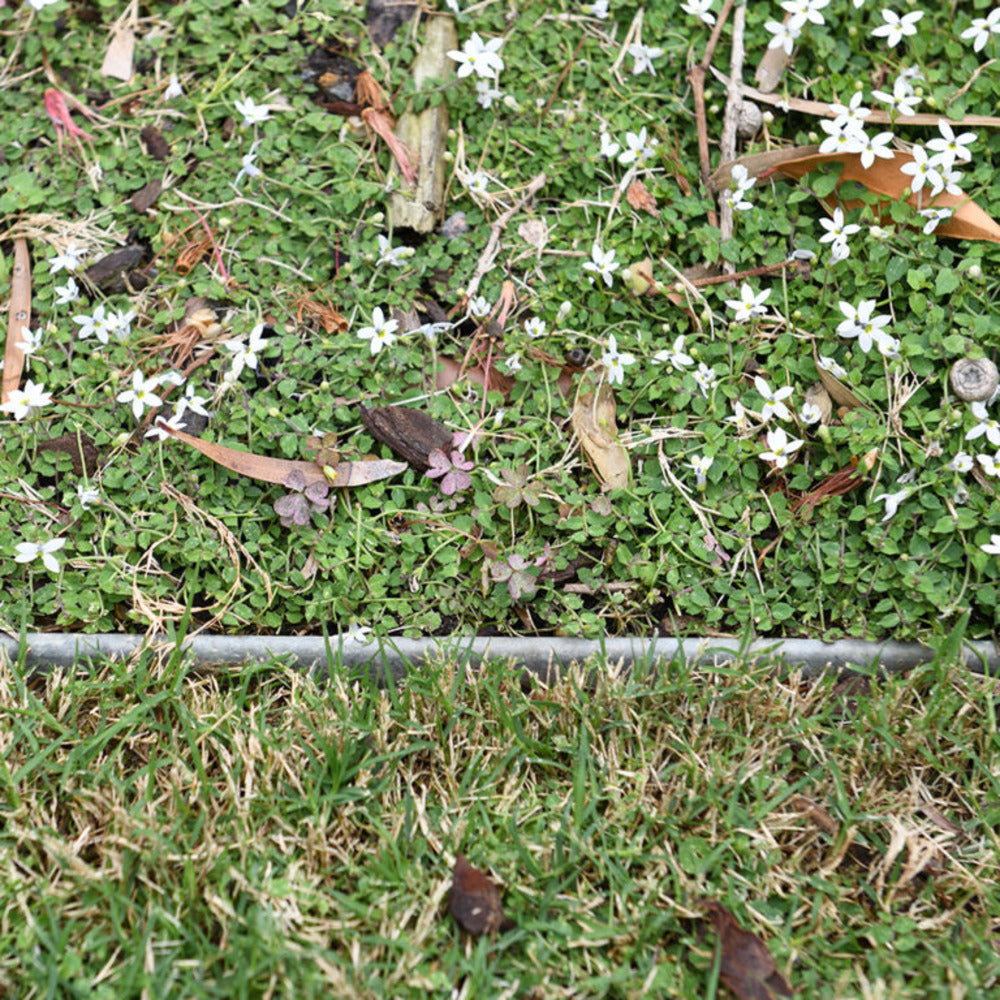 Shapescaper GALVABOND® GARDEN EDGING 75MM x 2.4M - 1.6MM STEEL