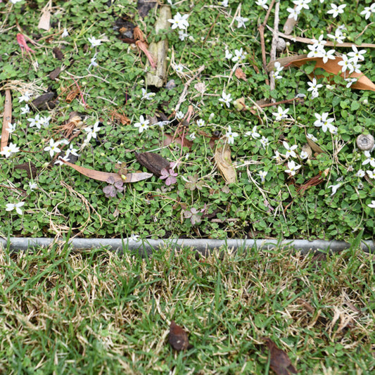 Shapescaper GALVABOND® GARDEN EDGING 75MM x 2.4M - 1.6MM STEEL