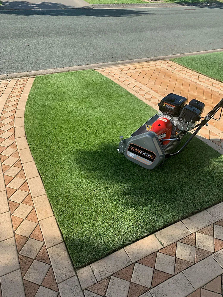 AUGUSTA ZOYSIA TURF