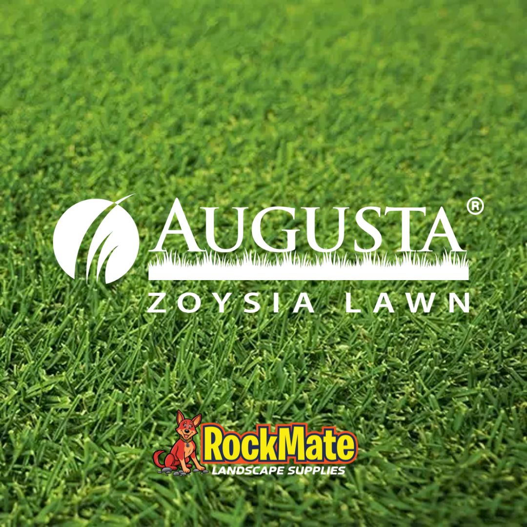 AUGUSTA ZOYSIA TURF