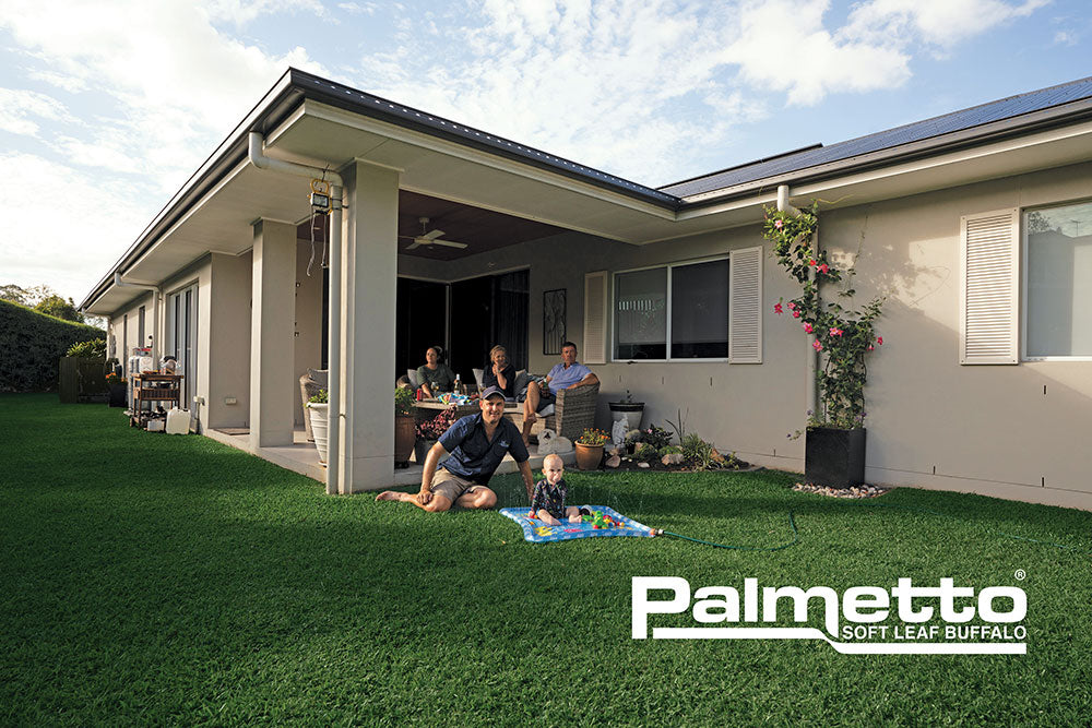 PALMETTO TURF