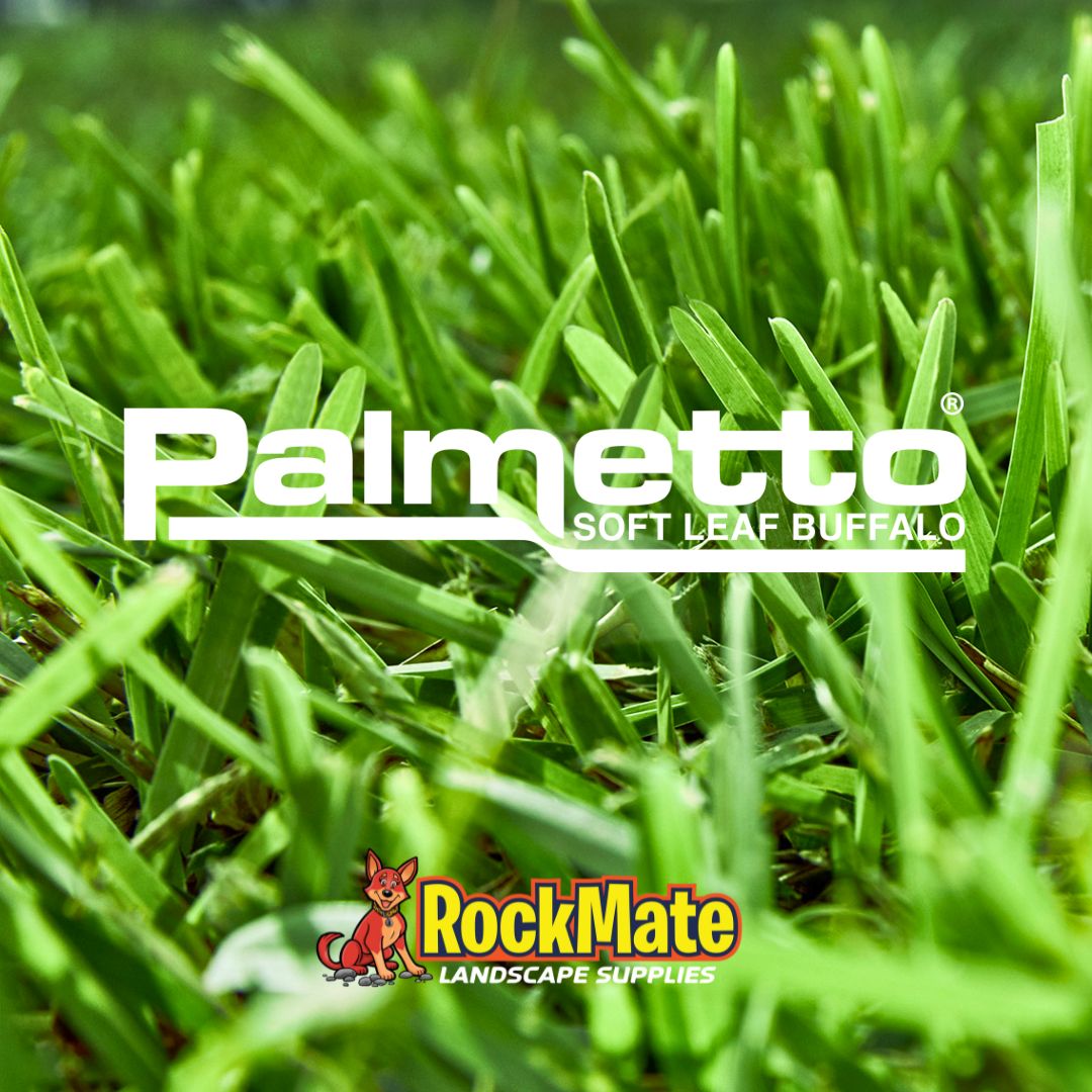 PALMETTO TURF