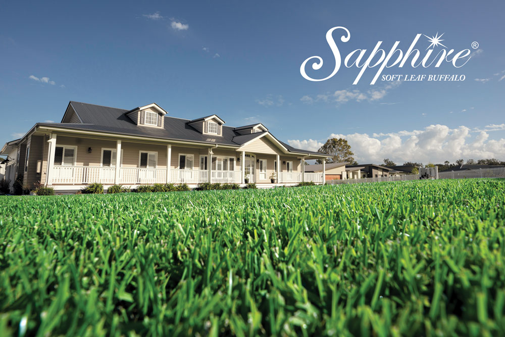 SAPPHIRE TURF