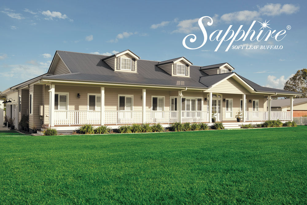 SAPPHIRE TURF