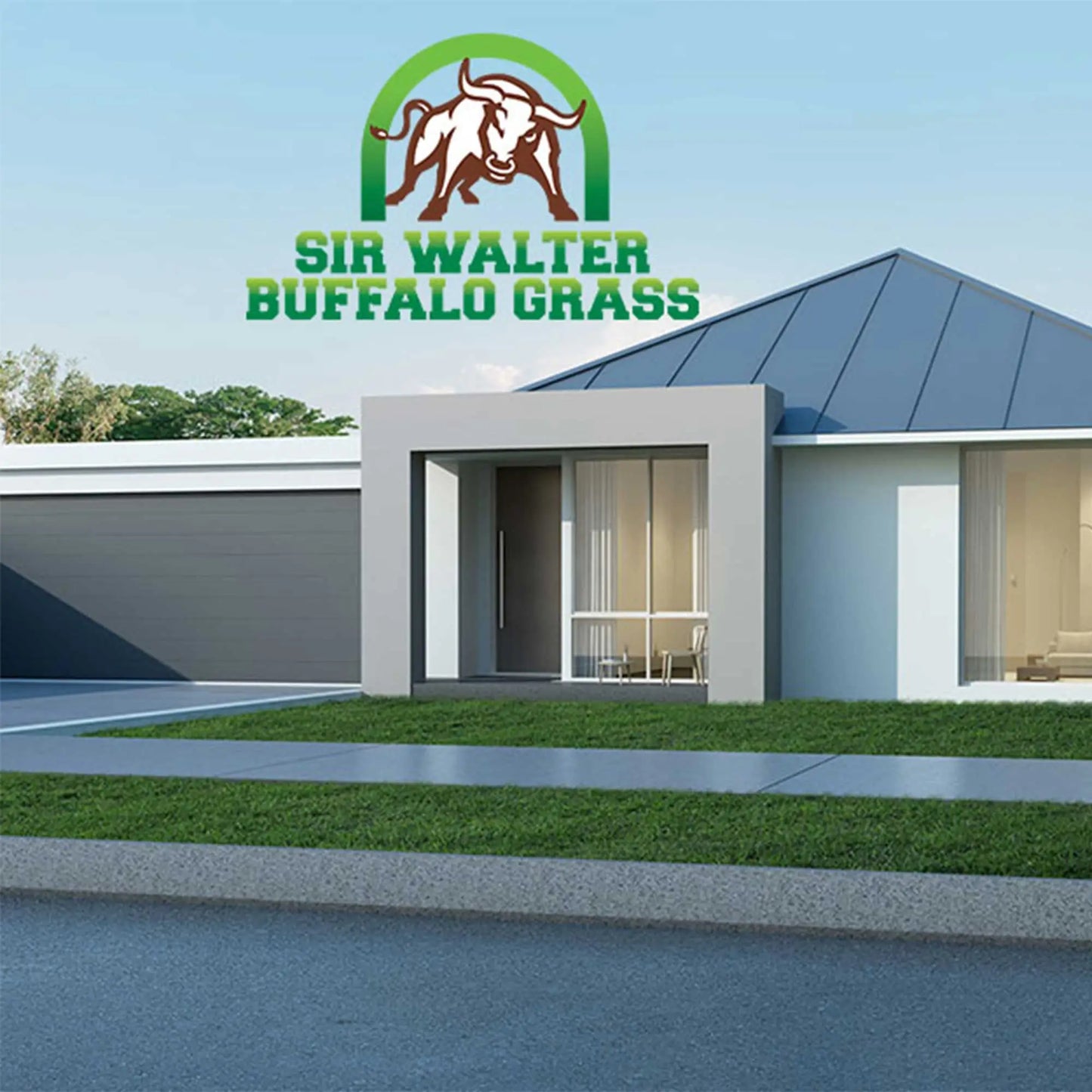 SIR WALTER TURF