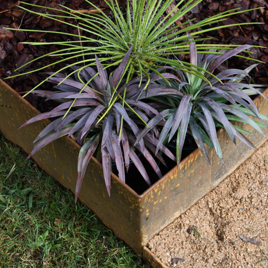 Shapescaper REDCOR® GARDEN EDGING 185MM x 2.4M - 2.0MM STEEL