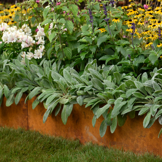 Shapescaper REDCOR® GARDEN EDGING 290MM x 2.4M - 2.0MM STEEL
