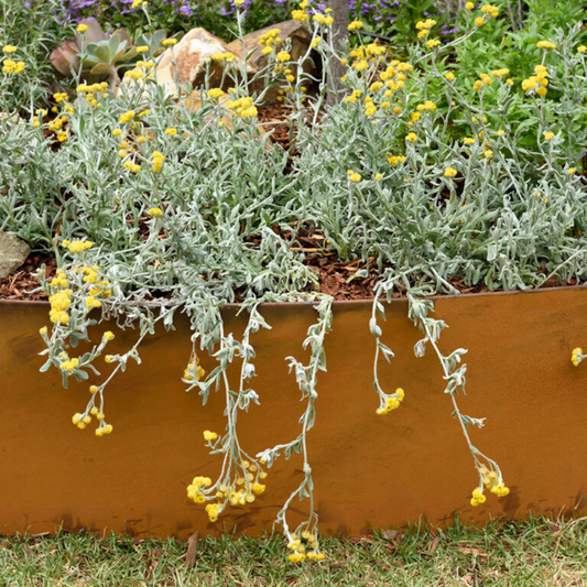 Shapescaper REDCOR® GARDEN EDGING 390MM x 2.4M - 2.0MM STEEL