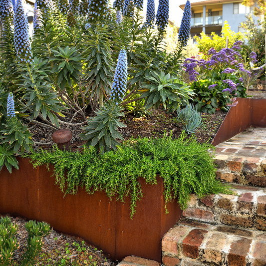 Shapescaper REDCOR® GARDEN EDGING 590MM x 2.4M - 2.5MM STEEL