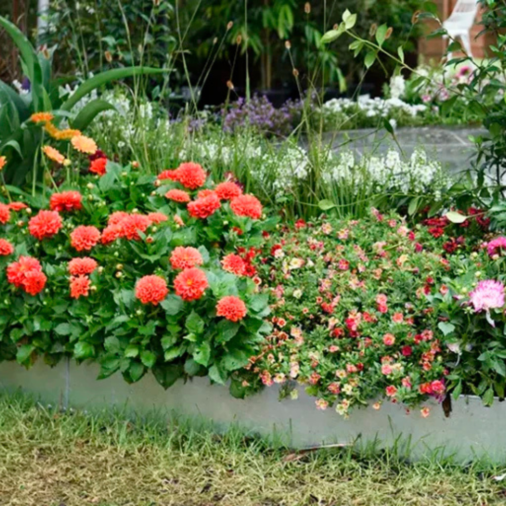 Shapescaper GALVABOND® GARDEN EDGING 230MM x 2.4M - 2.0MM STEEL