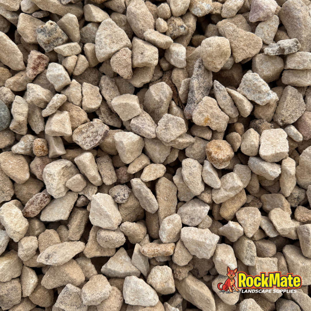 Bronze 20mm Decorative