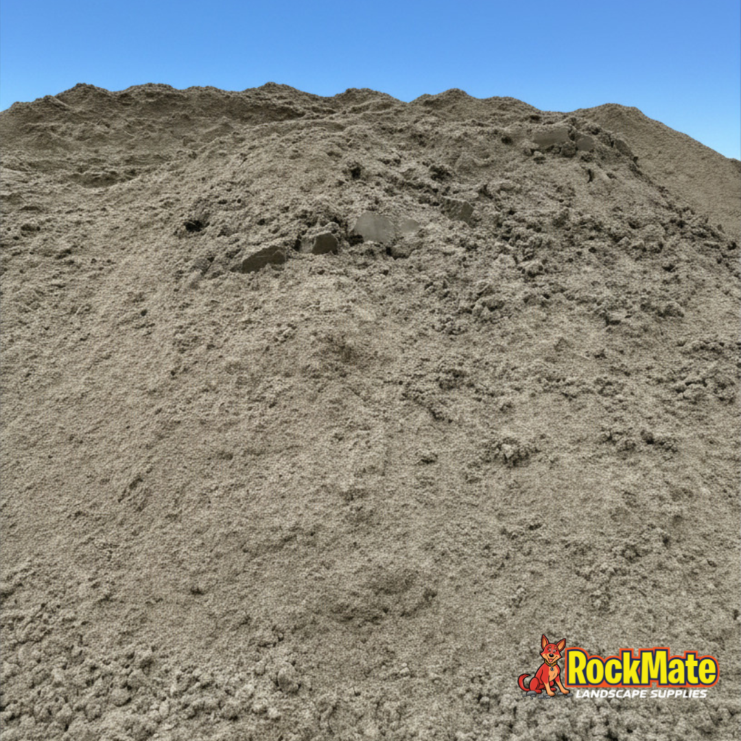 Coastal Loam