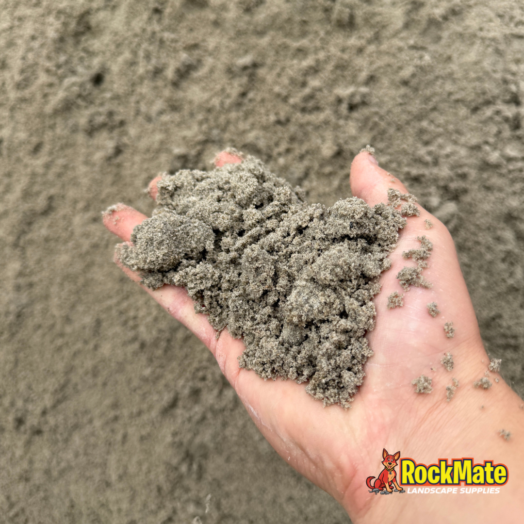Coastal Loam