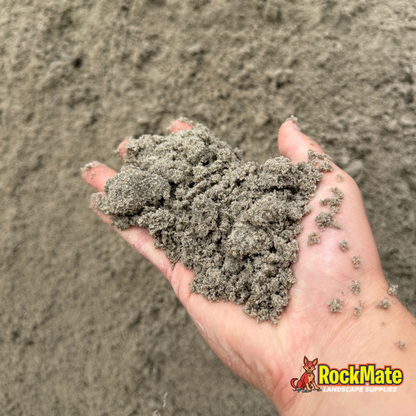 Coastal Loam