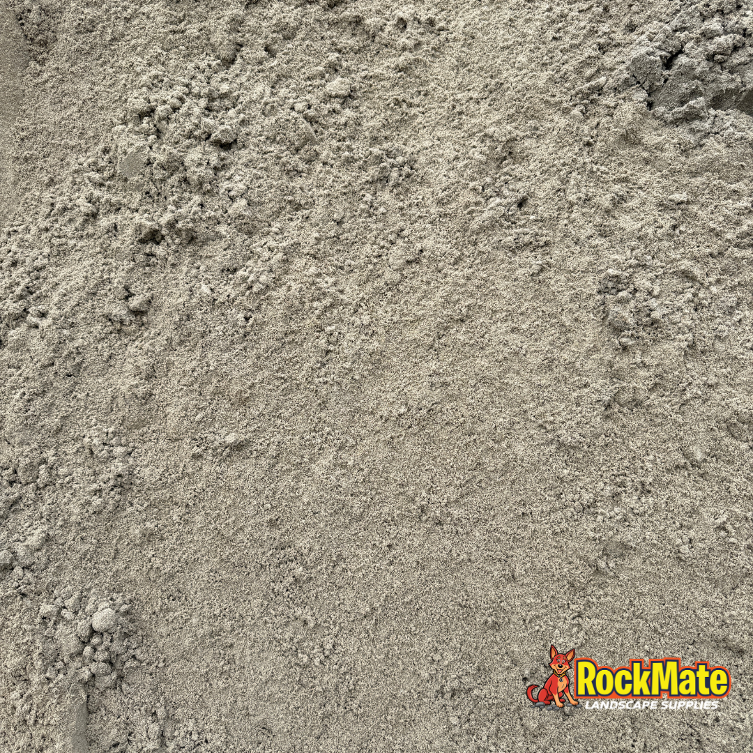 Coastal Loam
