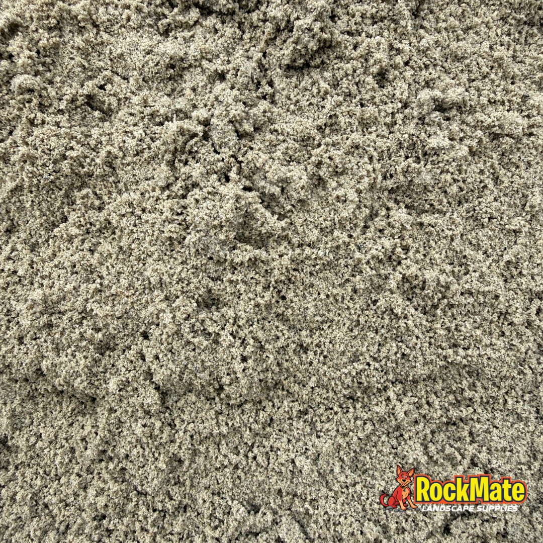 Coastal Loam