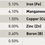 Blood & Bone 25KG