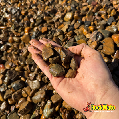 River Rock 20mm Decorative