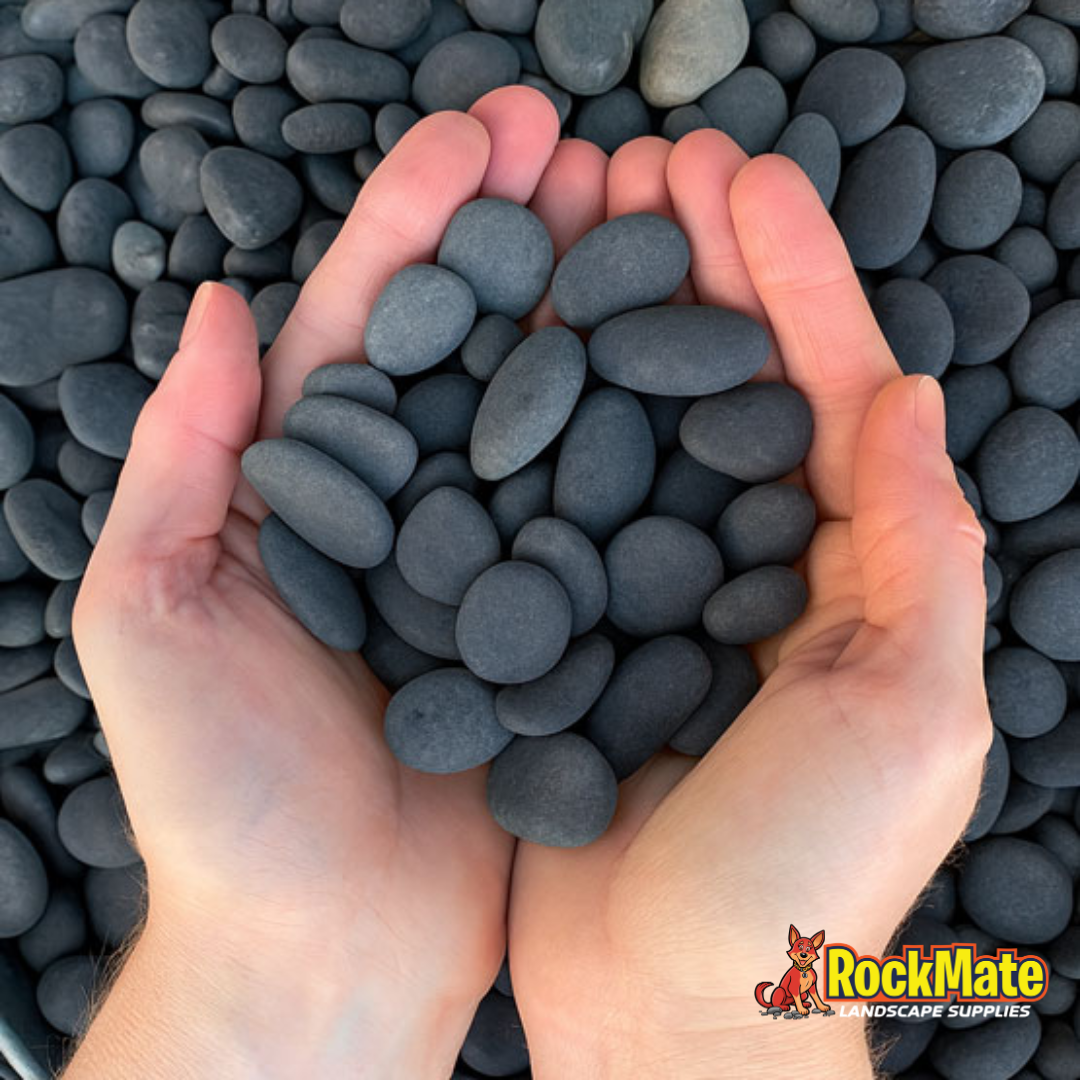 Sino Black Natural
