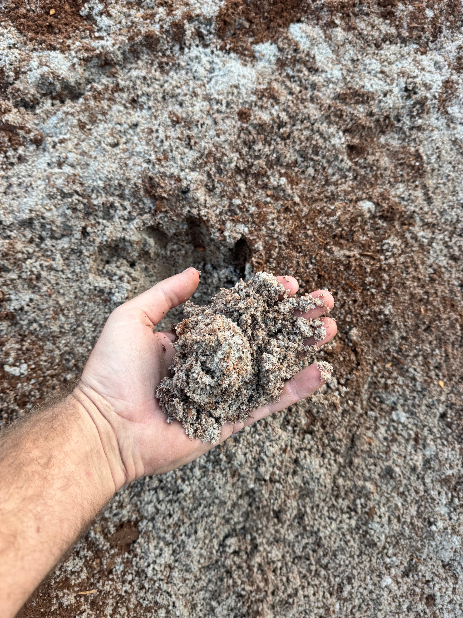 Coarse Sand & Nutrient Filled Soil Mix for oover turf hand full