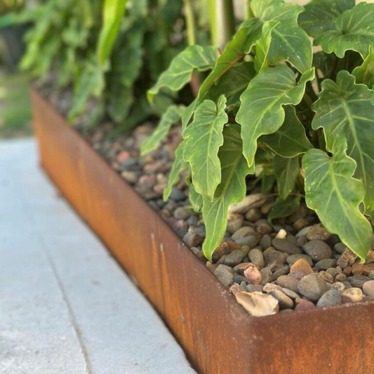 Shapescaper REDCOR® GARDEN EDGING 150MM x 2.4M - 1.6MM STEEL