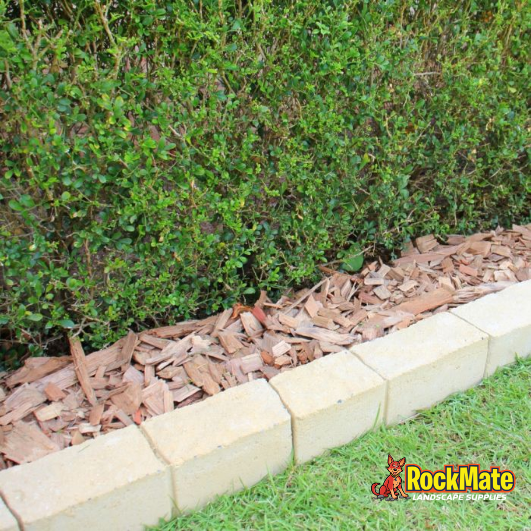 Apex Masonry Vivid Edge Gold Blend