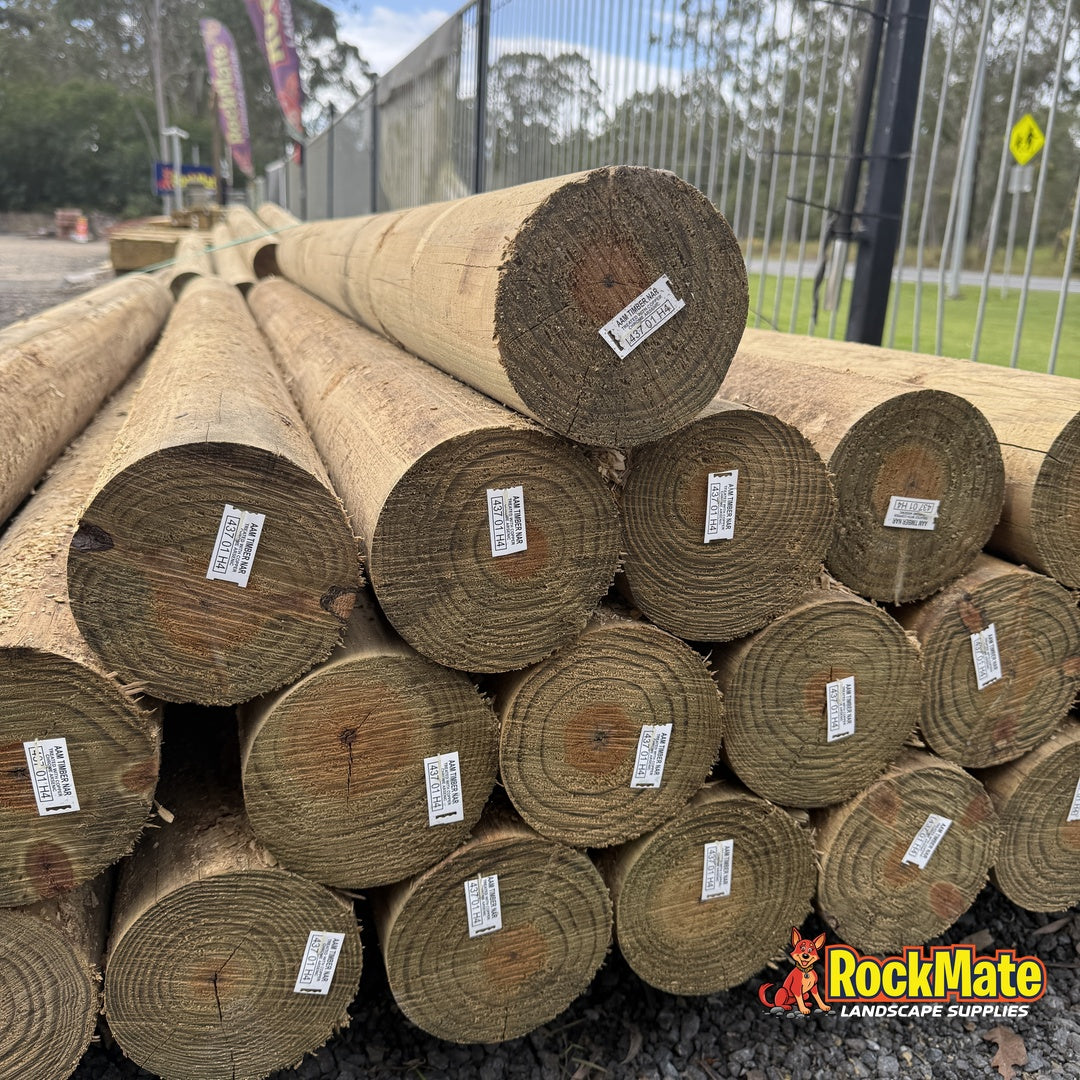 Cut ends of H4 treated pine round logs showing the growth rings and treatment tags