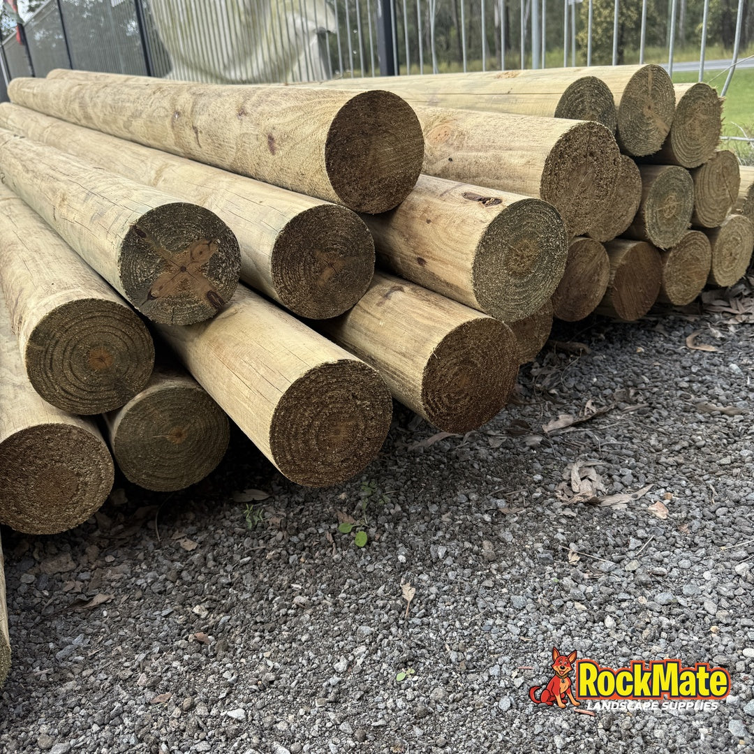Bundle of 2.4m treated pine round logs strapped and ready for pickup