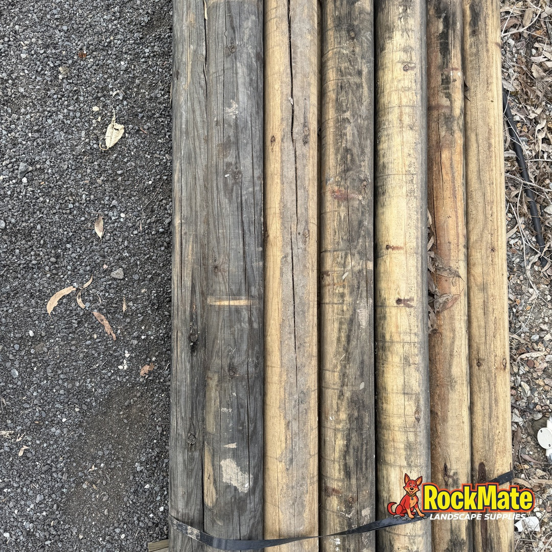 Long 3.0m H4 treated pine round logs stacked and strapped