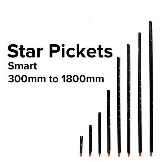 STAR PICKET 300MM - SMART
